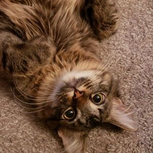 Meet your Posher, Felicity